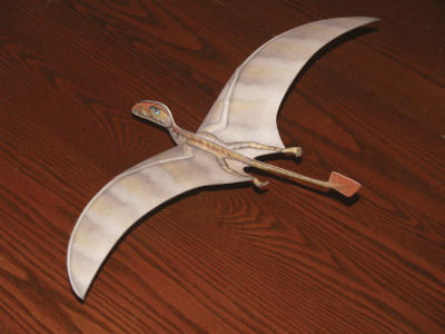 Dimorphodon paper model