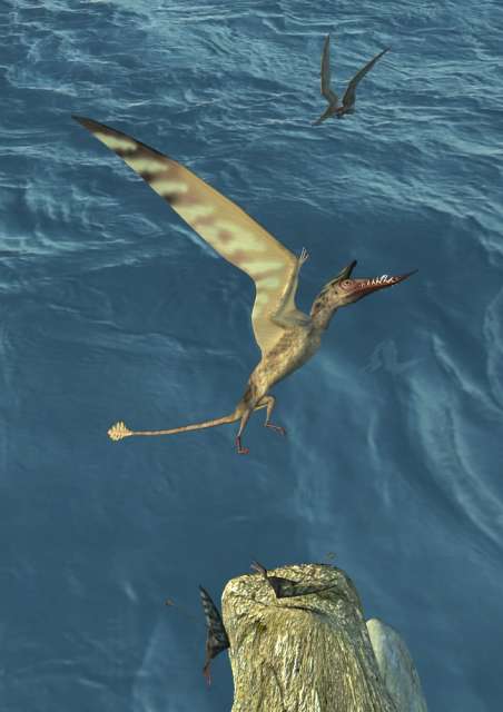 Feed Me Pterosaur