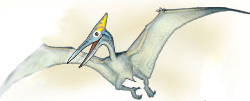 pterodactyl drawing